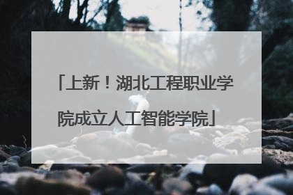 上新！湖北工程职业学院成立人工智能学院