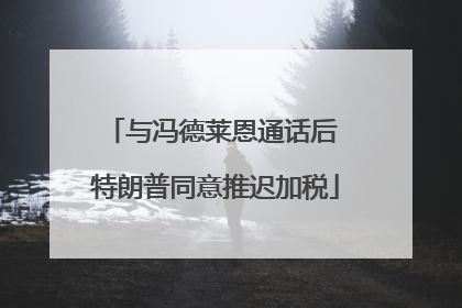 与冯德莱恩通话后 特朗普同意推迟加税