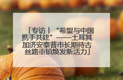 专访丨“希望与中国携手共建”——土耳其加济安泰普市长期待古丝路重镇焕发新活力