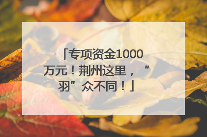 专项资金1000万元！荆州这里，“羽”众不同！
