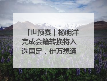 世预赛｜杨明洋完成会籍转换将入选国足，伊万想通了要打双后腰？