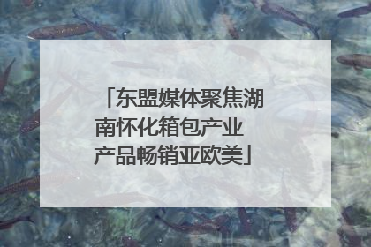 东盟媒体聚焦湖南怀化箱包产业 产品畅销亚欧美