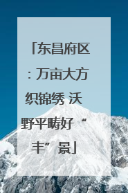 东昌府区：万亩大方织锦绣 沃野平畴好“丰”景