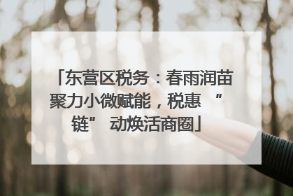东营区税务：春雨润苗聚力小微赋能，税惠 “链” 动焕活商圈