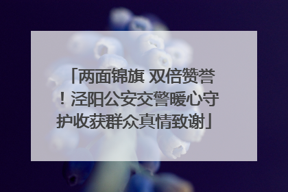 两面锦旗 双倍赞誉！泾阳公安交警暖心守护收获群众真情致谢