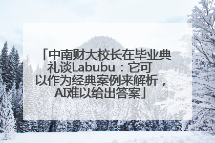 中南财大校长在毕业典礼谈Labubu：它可以作为经典案例来解析，AI难以给出答案