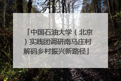 中国石油大学（北京）实践团调研南马庄村解码乡村振兴新路径