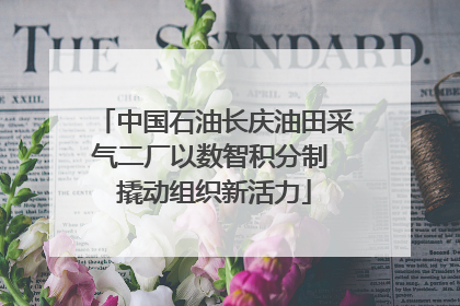中国石油长庆油田采气二厂以数智积分制 撬动组织新活力
