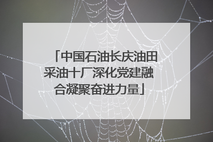 中国石油长庆油田采油十厂深化党建融合凝聚奋进力量