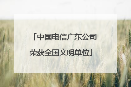 中国电信广东公司荣获全国文明单位