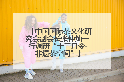 中国国际茶文化研究会副会长张仲灿一行调研“十二月令·非遗茶空间”