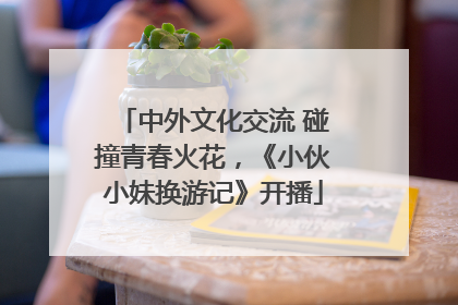 中外文化交流 碰撞青春火花，《小伙小妹换游记》开播
