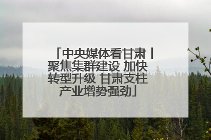 中央媒体看甘肃丨聚焦集群建设 加快转型升级 甘肃支柱产业增势强劲
