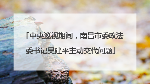 中央巡视期间，南昌市委政法委书记吴建平主动交代问题