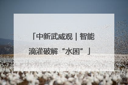 中新武威观｜智能滴灌破解“水困”