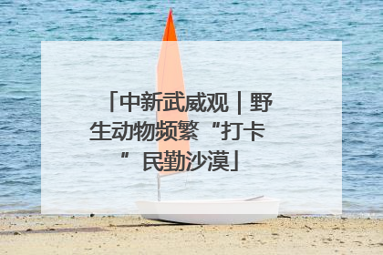 中新武威观｜野生动物频繁“打卡”民勤沙漠