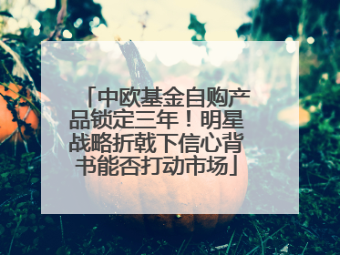 中欧基金自购产品锁定三年！明星战略折戟下信心背书能否打动市场