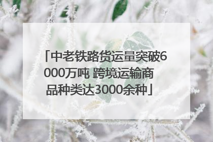 中老铁路货运量突破6000万吨 跨境运输商品种类达3000余种