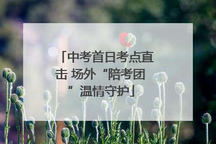 中考首日考点直击 场外“陪考团”温情守护