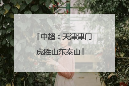 中超：天津津门虎胜山东泰山