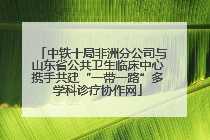 中铁十局非洲分公司与山东省公共卫生临床中心携手共建“一带一路”多学科诊疗协作网