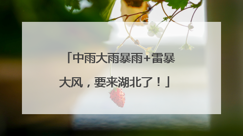 中雨大雨暴雨+雷暴大风，要来湖北了！