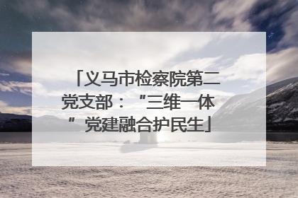 义马市检察院第二党支部：“三维一体”党建融合护民生