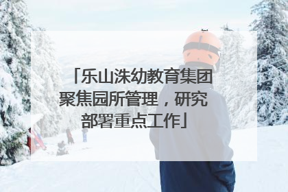 乐山洙幼教育集团聚焦园所管理，研究部署重点工作