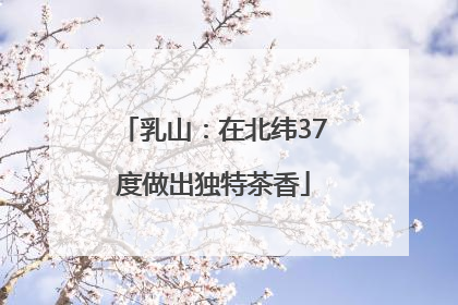 乳山：在北纬37度做出独特茶香
