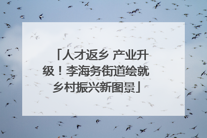 人才返乡 产业升级！李海务街道绘就乡村振兴新图景