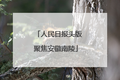 人民日报头版聚焦安徽南陵
