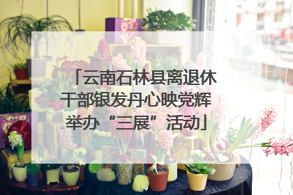 云南石林县离退休干部银发丹心映党辉举办“三展”活动