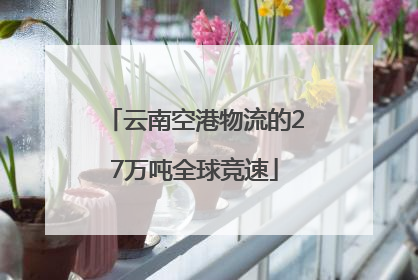 云南空港物流的27万吨全球竞速