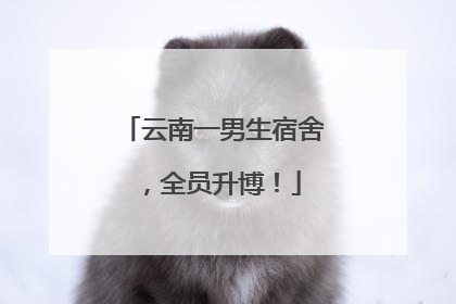 云南一男生宿舍，全员升博！
