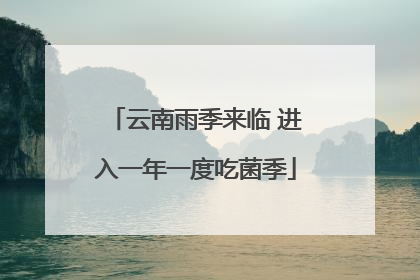 云南雨季来临 进入一年一度吃菌季
