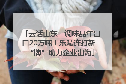 云话山东｜调味品年出口20万吨！乐陵连打新“牌”助力企业出海