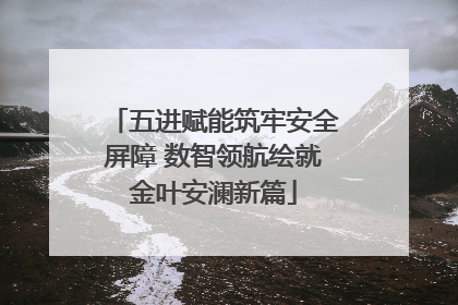 五进赋能筑牢安全屏障 数智领航绘就金叶安澜新篇