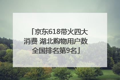 京东618带火四大消费 湖北购物用户数全国排名第9名