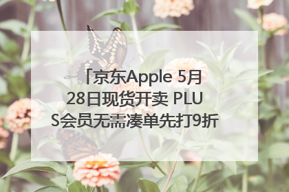 京东Apple 5月28日现货开卖 PLUS会员无需凑单先打9折再叠618优惠
