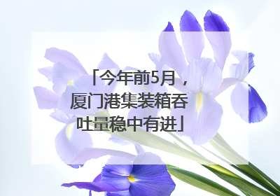 今年前5月，厦门港集装箱吞吐量稳中有进