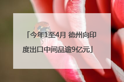 今年1至4月 德州向印度出口中间品逾9亿元