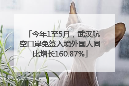 今年1至5月，武汉航空口岸免签入境外国人同比增长160.87%
