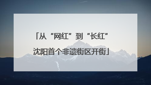 从“网红”到“长红” 沈阳首个非遗街区开街