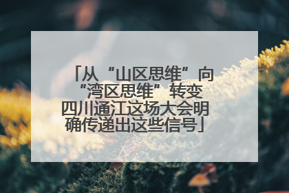 从“山区思维”向“湾区思维”转变 四川通江这场大会明确传递出这些信号