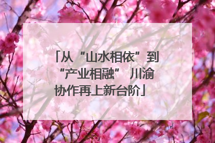 从“山水相依”到“产业相融” 川渝协作再上新台阶