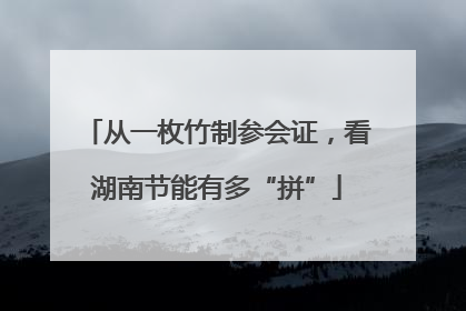 从一枚竹制参会证，看湖南节能有多“拼”