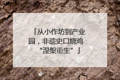 从小作坊到产业园，非遗史口烧鸡“涅槃重生”