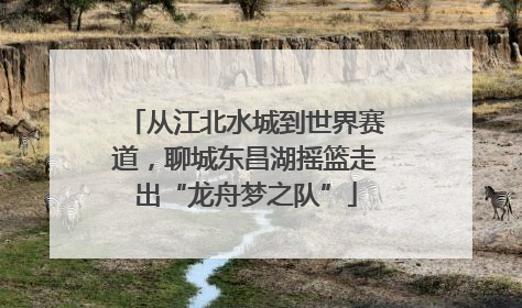 从江北水城到世界赛道，聊城东昌湖摇篮走出“龙舟梦之队”