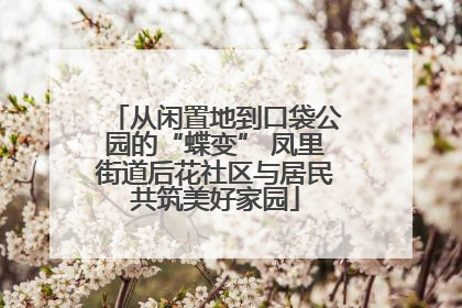 从闲置地到口袋公园的“蝶变” 凤里街道后花社区与居民共筑美好家园