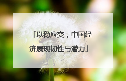 以稳应变，中国经济展现韧性与潜力